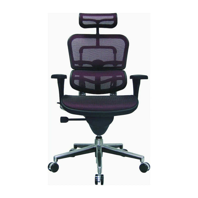 Ergonomic Mesh Manager's Chair