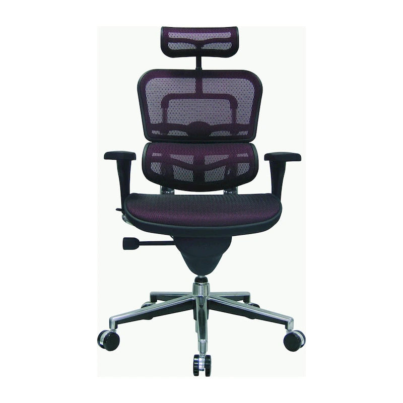 Ergonomic Mesh Manager's Chair