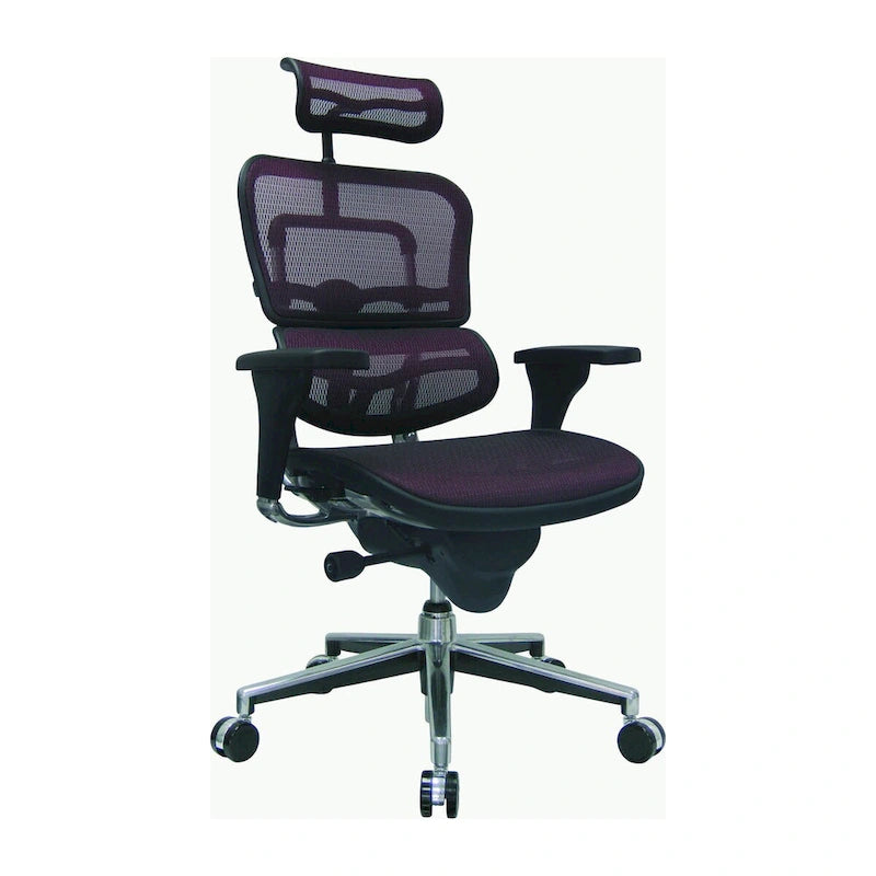 Ergonomic Mesh Manager's Chair